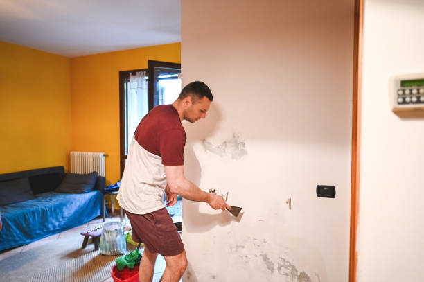 Best Affordable Mold Removal  in Belmont, NC